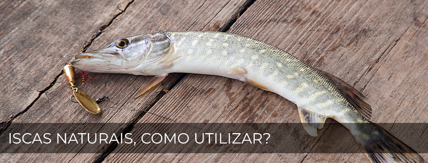Iscas Naturais, Como Utilizar?